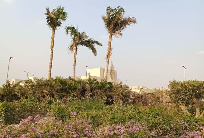 8110799 - صورة العقار 3