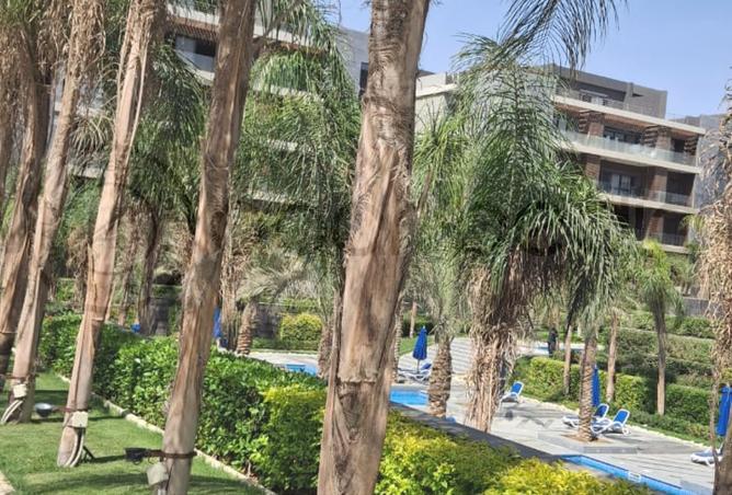 8389060 - Property Image 3