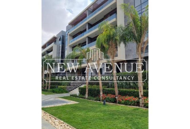 8386924 - Property Image 3