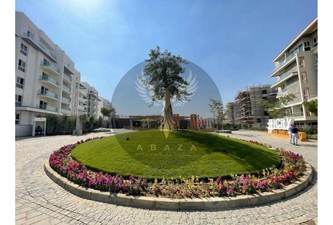 7885764 - صورة العقار 3