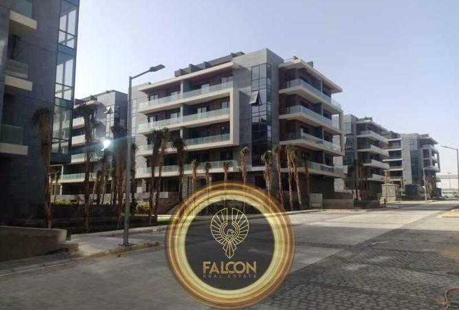 8410351 - Property Image 3