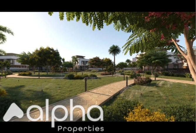 8137740 - Property Image 2