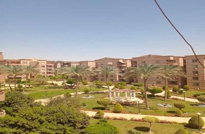 Apartment - 4 Bedrooms - 3 Bathrooms for rent in El Rehab Extension - Al Rehab - New Cairo City - Cairo