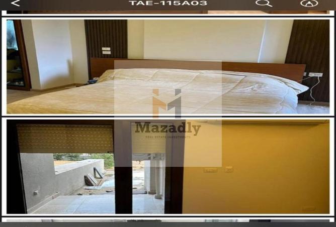 8181637 - Property Image 3