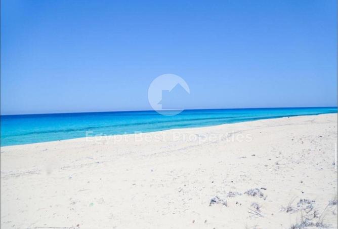 8436462 - Property Image 2