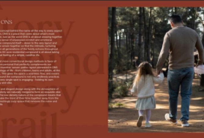 8394799 - صورة العقار 2