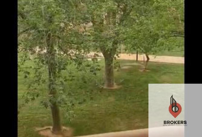 8390337 - صورة العقار 2