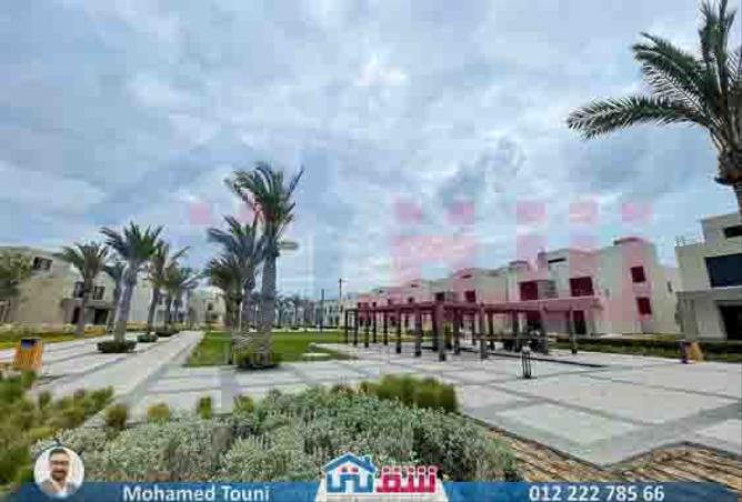 7982681 - صورة العقار 2