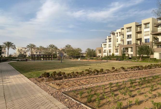 7983298 - Property Image 3