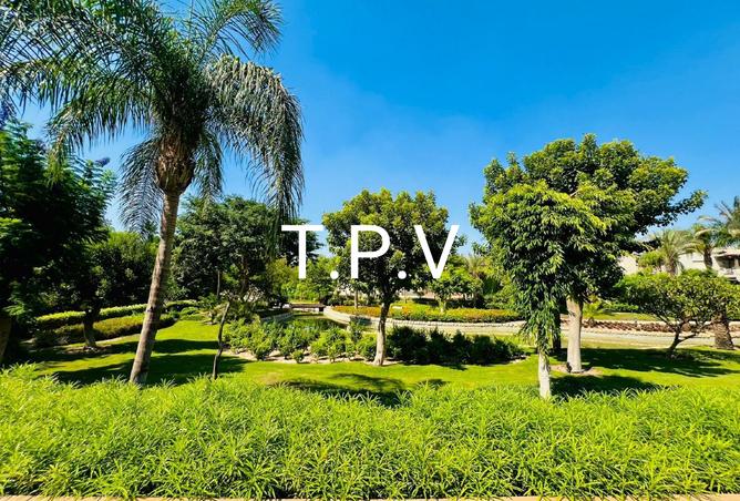 7956480 - Property Image 3