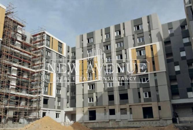 8239391 - Property Image 3