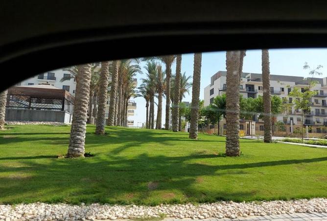 8003769 - صورة العقار 2