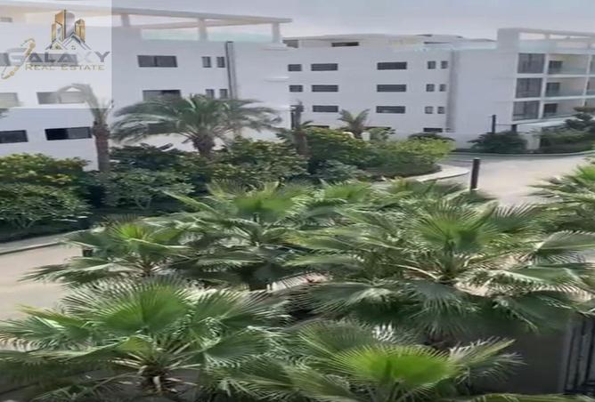 5979799 - Property Image 3