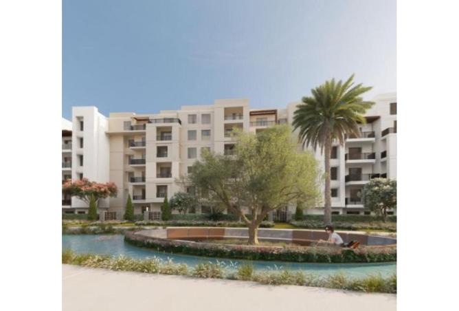 8386224 - Property Image 3