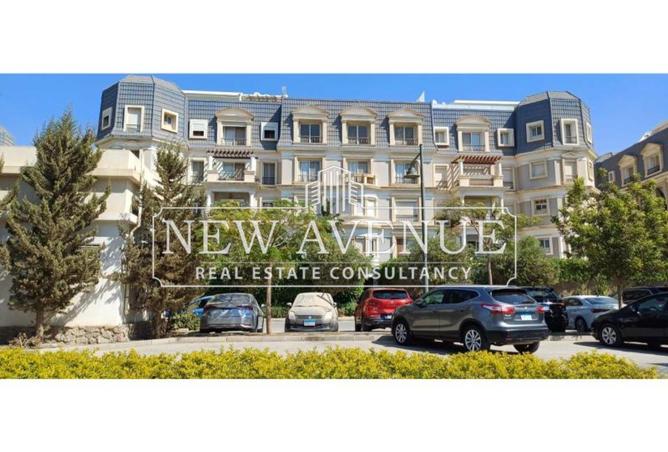 8244176 - Property Image 2