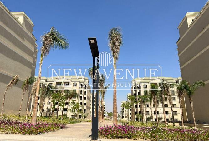 8175253 - Property Image 3