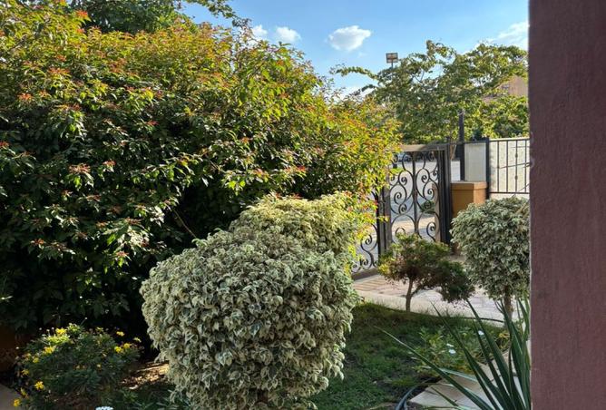 7999715 - Property Image 3