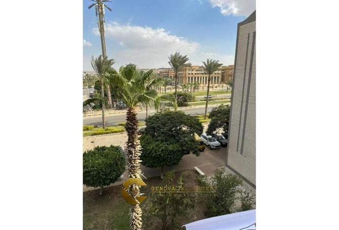 8293755 - صورة العقار 3