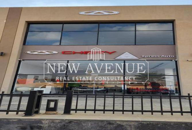 8430852 - Property Image 2