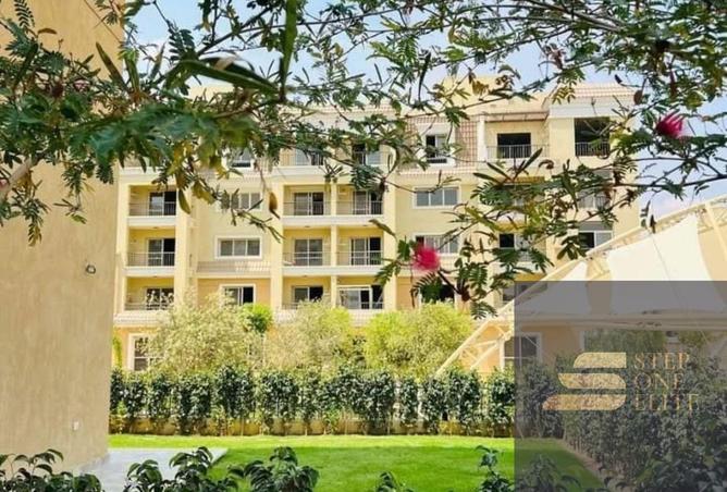 8315775 - صورة العقار 3