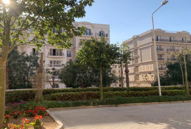 8223286 - Property Image 2