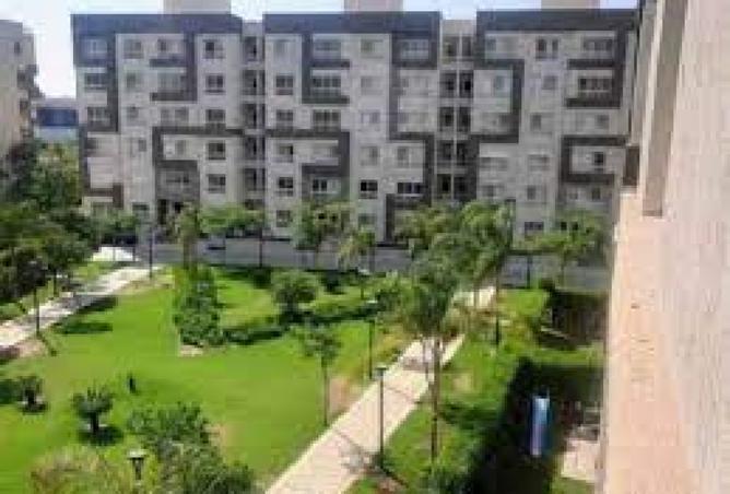 8251395 - Property Image 3