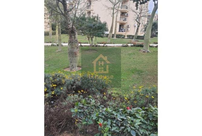 8020210 - صورة العقار 2