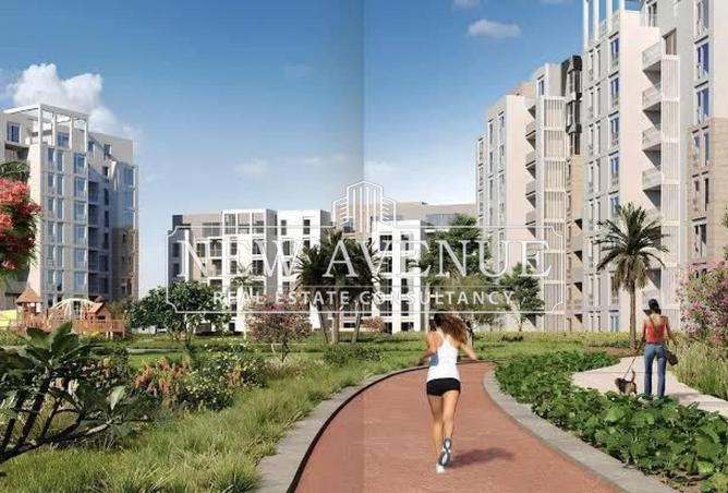 8226277 - صورة العقار 3