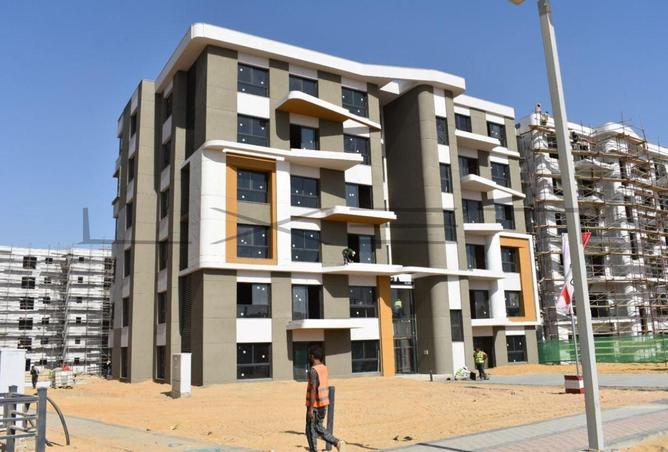 8392320 - Property Image 3