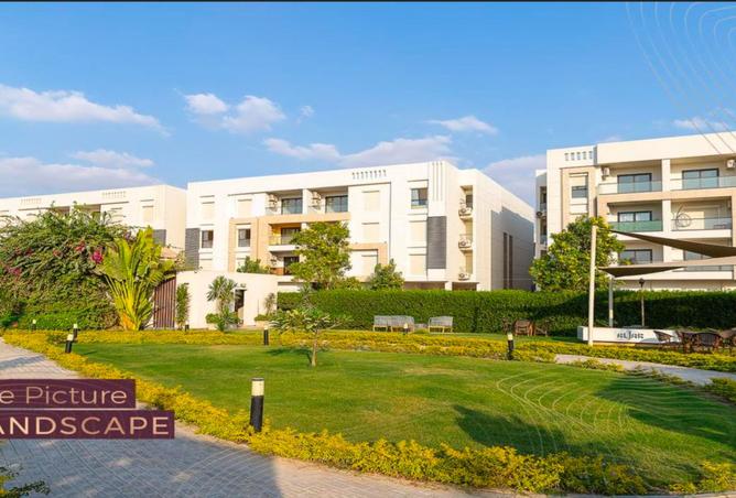 7931146 - صورة العقار 3