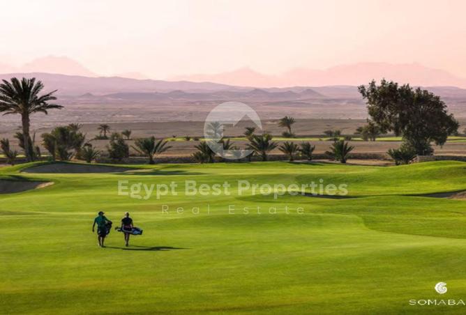 7922999 - الصورة الرئيسية للعقار