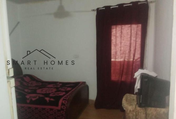 8479331 - Property Image 2