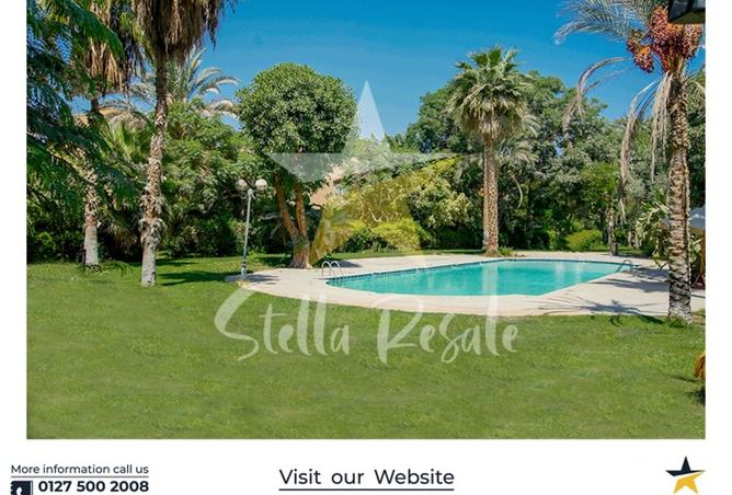 7997455 - صورة العقار 2