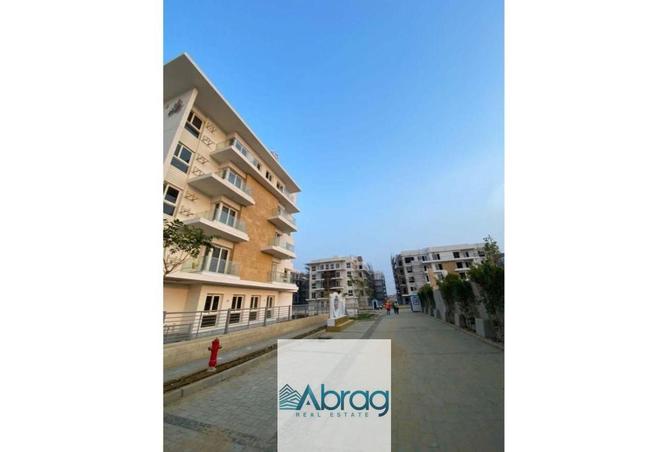 8054173 - Property Image 3