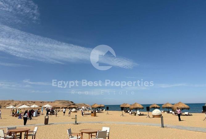 8302999 - Property Image 3