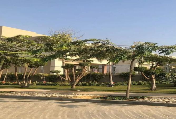 8563356 - صورة العقار 3