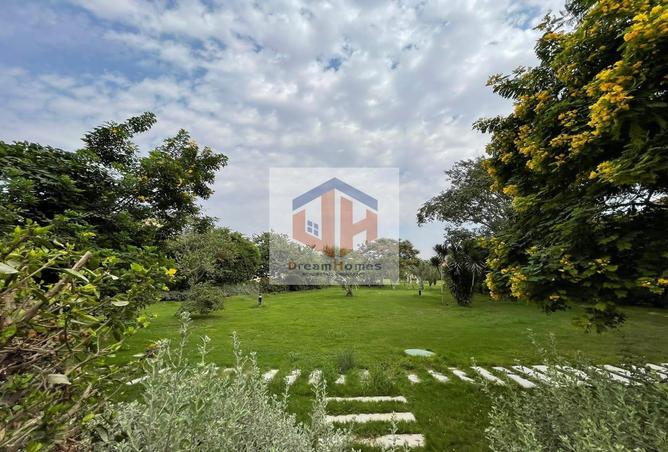 7989169 - صورة العقار 3
