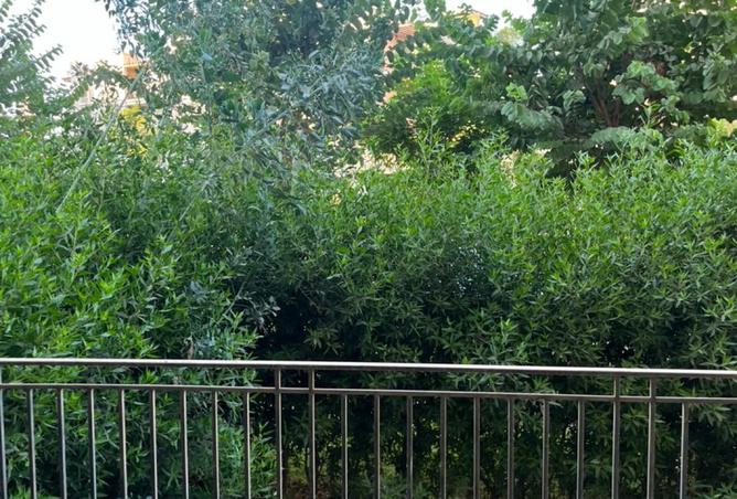 8486528 - صورة العقار 2