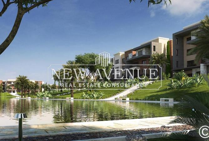 8072296 - Property Image 3