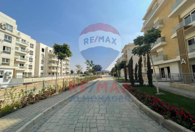 8020621 - Property Image 3