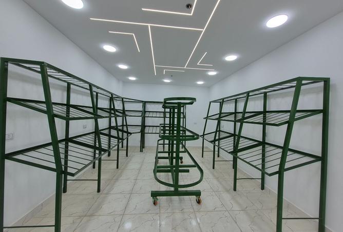 8444969 - صورة العقار 3