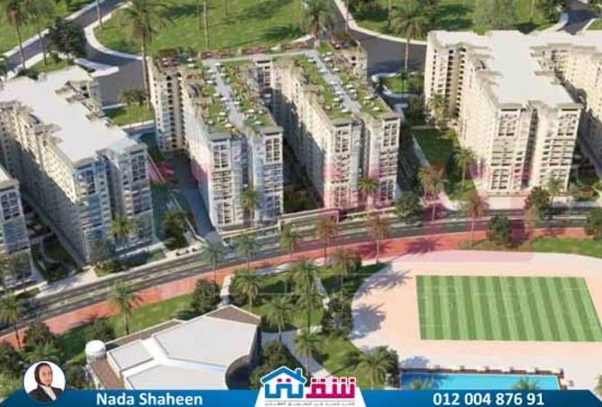 7909204 - Property Image 2