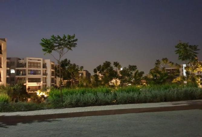 8467585 - Property Image 3