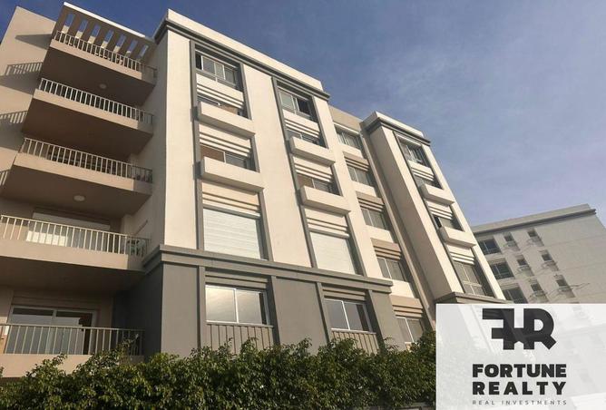 8396806 - صورة العقار 2