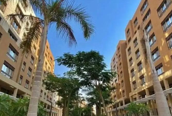 8336036 - الصورة الرئيسية للعقار