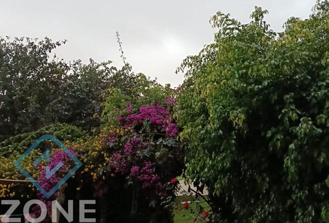 7942029 - Property Main Image