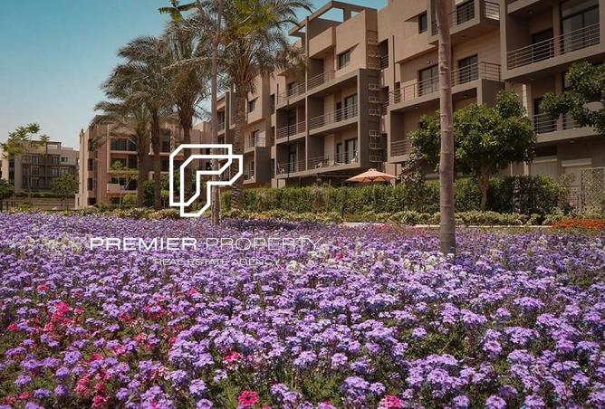 8471938 - Property Image 3