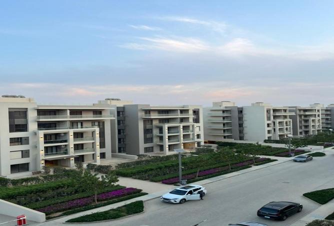 8230719 - Property Image 3