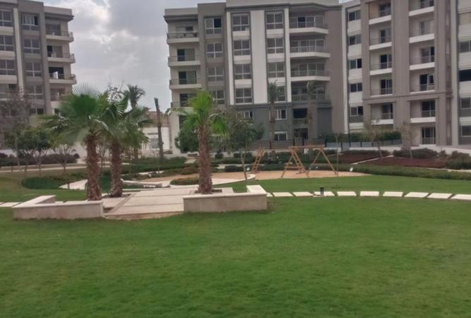 7934733 - Property Image 3