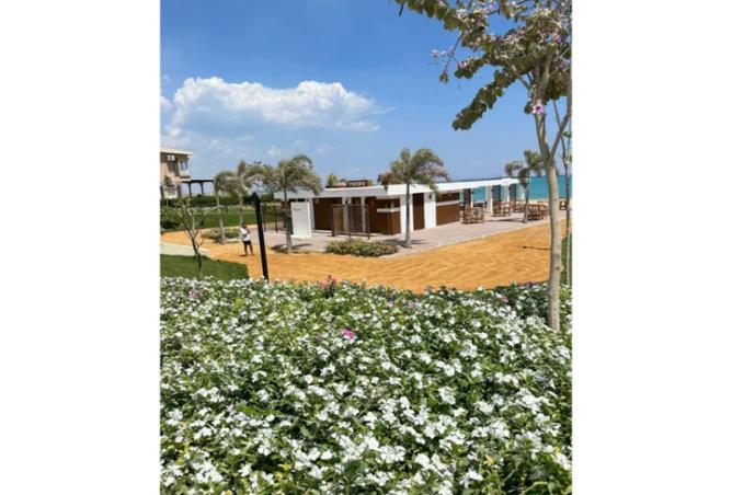 8502979 - صورة العقار 3